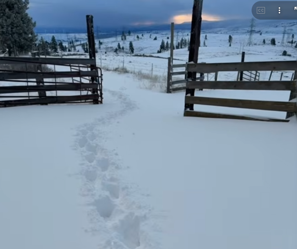 majestic sunrise in deep snow